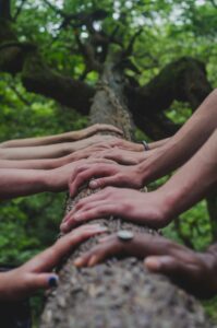 photo of people with their hands on a tree trunk in a forest